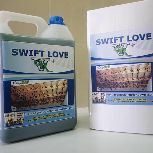Dung dịch tăng đàn swift love 5 lít