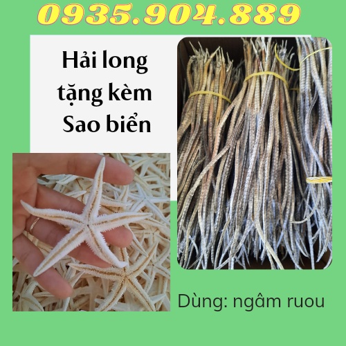 + 4 con hải long/hải xà biển khô dùng ngâm ruou