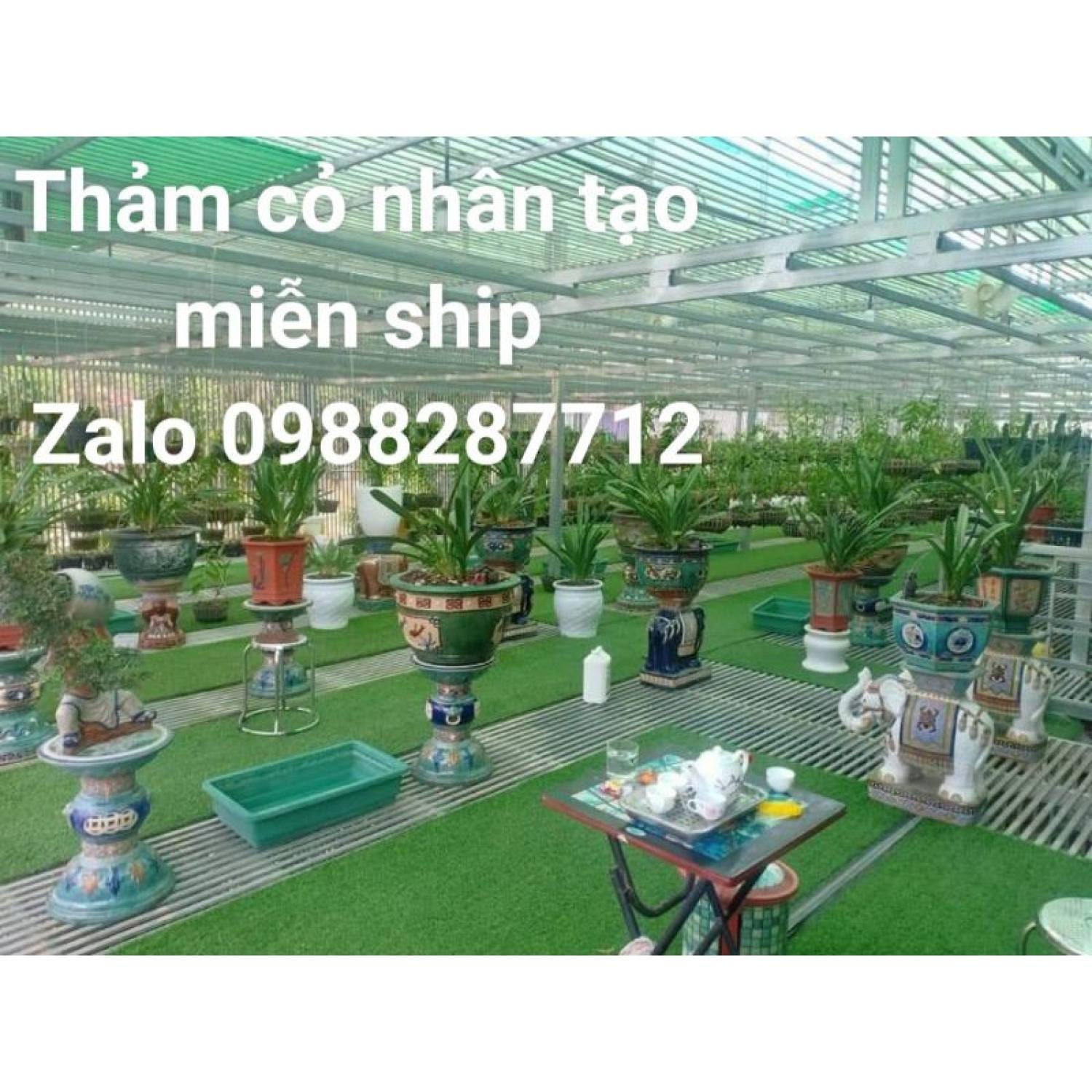 0.5m2 thảm cỏ nhân tạo 2cm