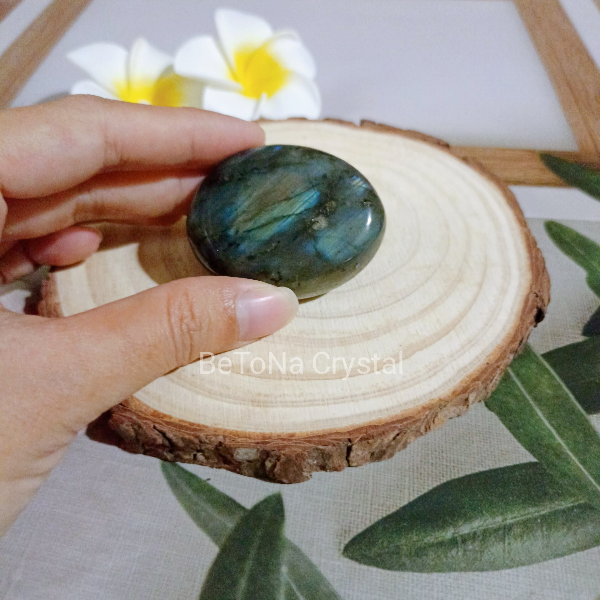Palm đá xà cừ - Hắc nguyệt quang đá thanh tẩy