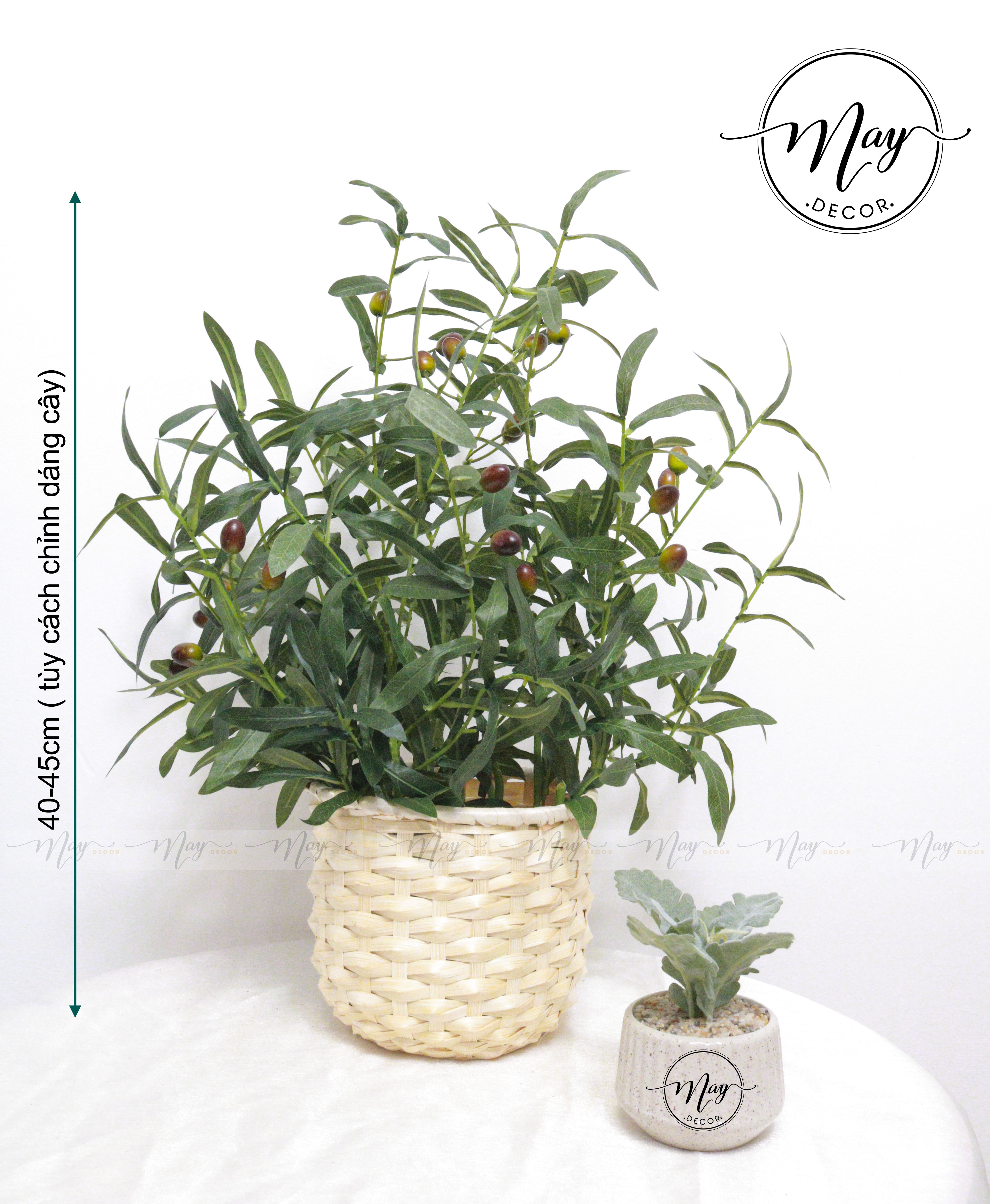 Cành Oliu giả 10 nhánh -8 trái cao 95cm- hàng cao cấp