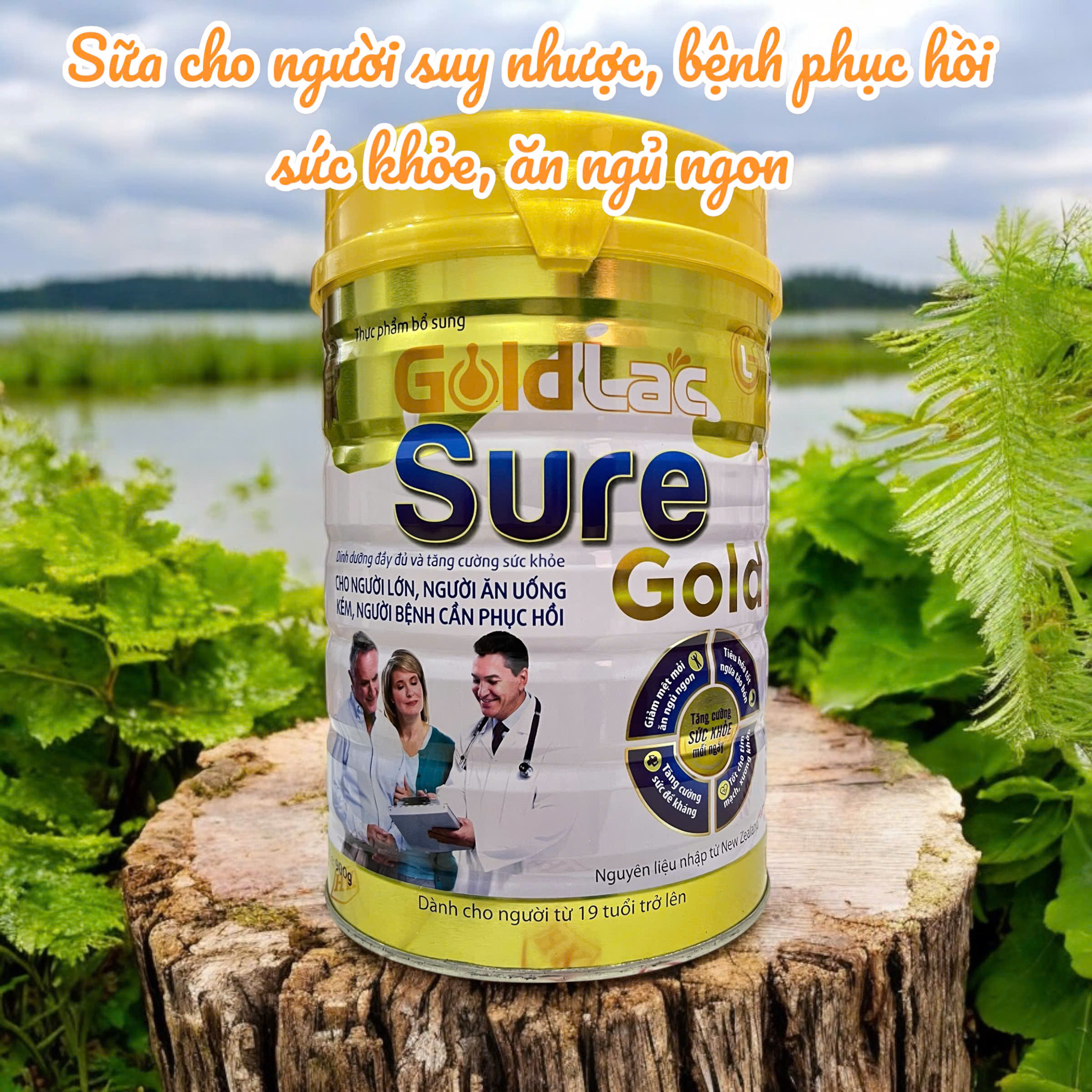 Sữa phục hồi sức khỏe cho người già yếu ăn uống kém tăng cường đề kháng khỏe Goldlac Sure Gold 900g