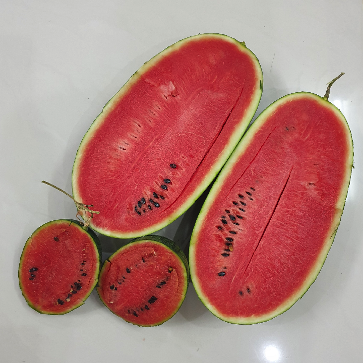 Hạt giống dưa hấu đỏ Thái Lan