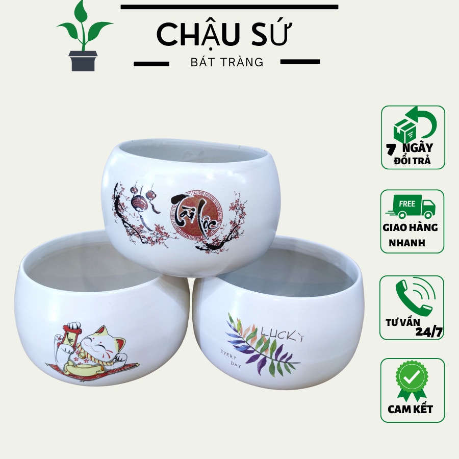 Chậu sứ tròn dán decan tráng men mát lạnh trồng cây để bàn