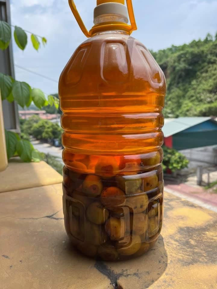 Rượu táo mèo tươi uống êm, không đau đầu, không khát nước chai 1lit