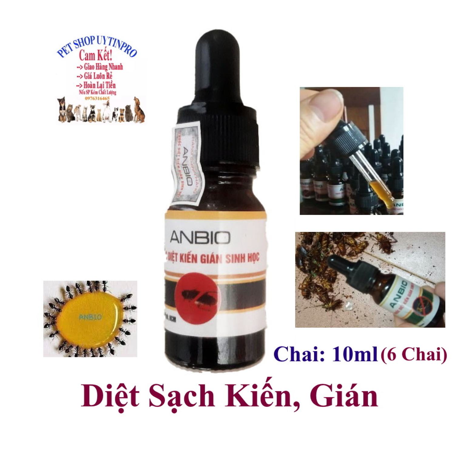6 chai diệt kiến gián sinh học anbio chai 10ml diệt sạch kiến gián an toàn hiệu quả xuất xứ việt nam - pet shop 24