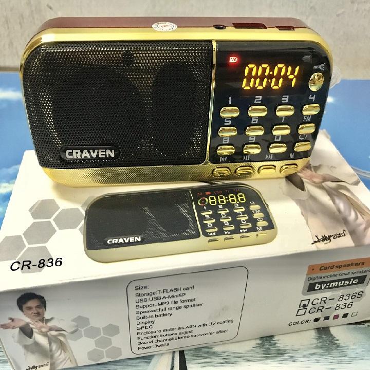 Máy nghe nhạc, nghe pháp có FM Craven CR836S
