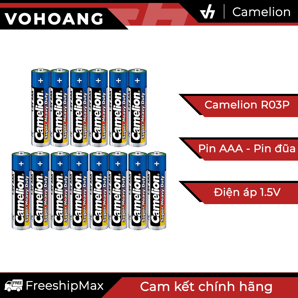 14 pin aaa camelion r03p