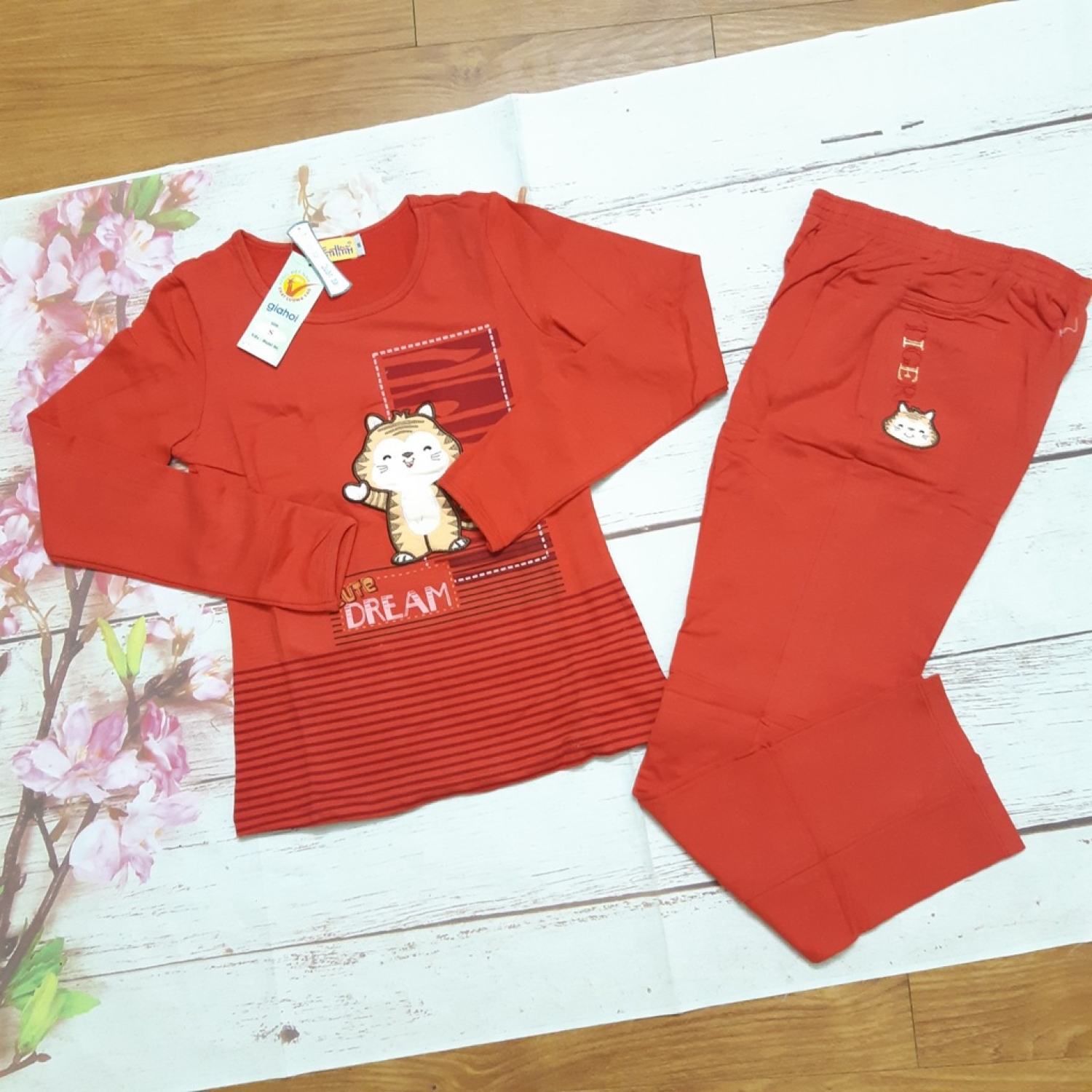 Thanh lý bộ đồ nữ, bộ mặc nhà thu đông Gia Hồi chất cotton size S