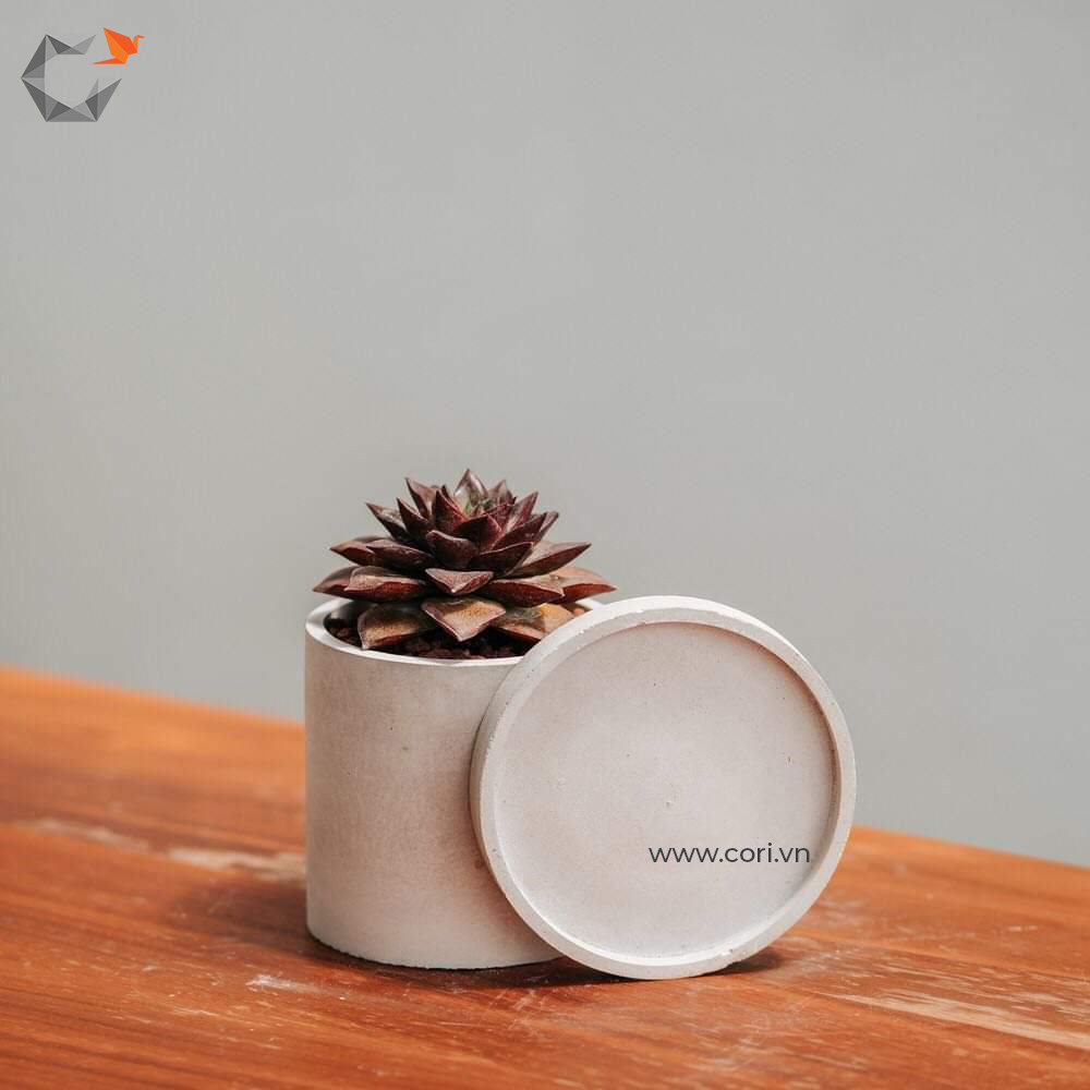 Đĩa xi măng đựng chậu cây Cori