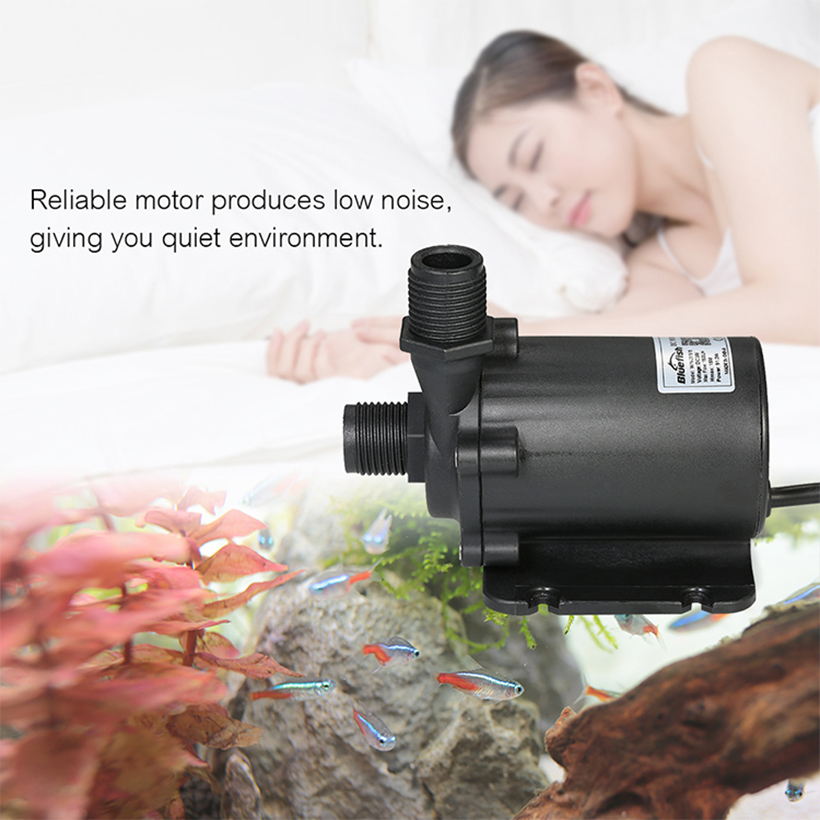 [HCM]BƠM CHÌM HỒ CÁ BLUEFISH LOẠI NHỎ (24V DC) GIÁ THANH LÝ (1 bộ bao gồm 1 bơm chìm và 1 bộ AC chuyển đổi dòng điện) thích hợp sử dụng cho bể cá hệ thống thuỷ canh hồ thuỷ sinh nhỏ...