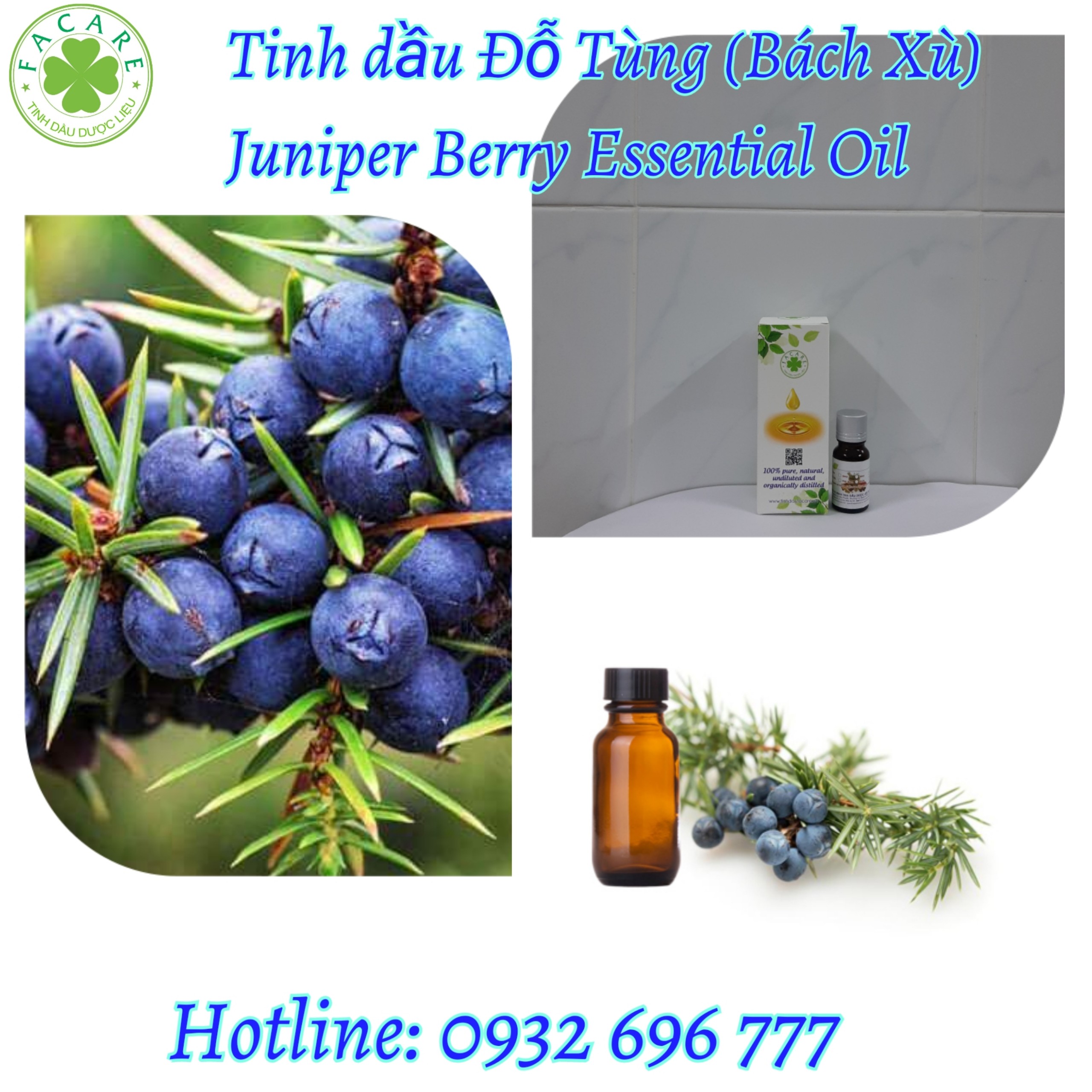 Tinh Dầu Đỗ Tùng - Juniper Berry essential oil - 10ml