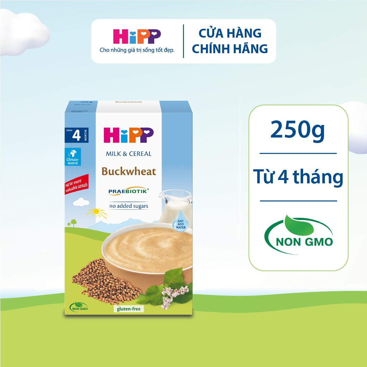 Bột ăn dặm dinh dưỡng Sữa, Kiều mạch HiPP Organic 250g