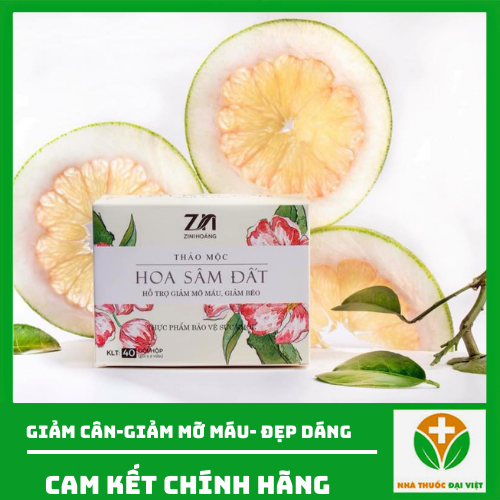 Trà giảm cân Hoa Sâm Đất giảm cân hiệu quả