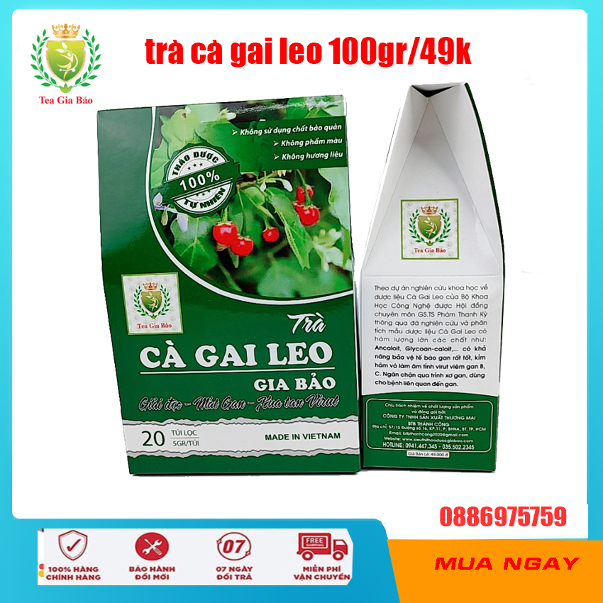 Trà cà gia leo gia bảo 100gr | giải độc gan, mát gan, vi rút viêm gan B C hỗ trợ các vấn đề về chức năng gan