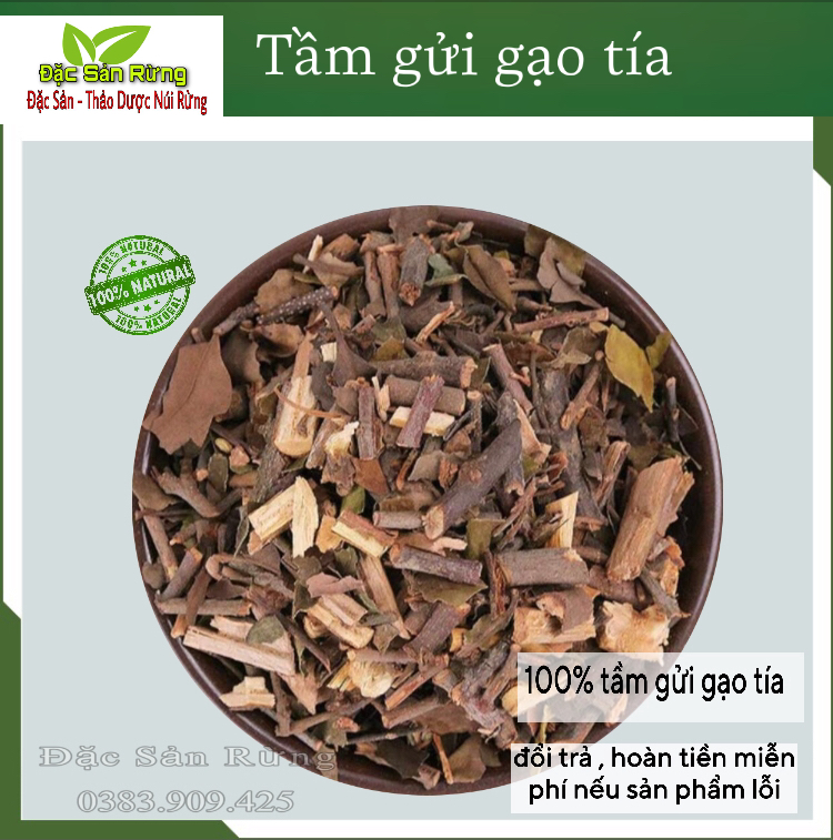 Tầm gửi gạo tía khô - đặc sản rừng