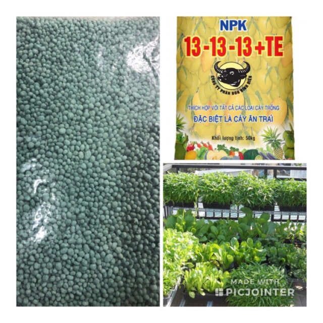 Phân npk đầu trâu 13-13-13+te
