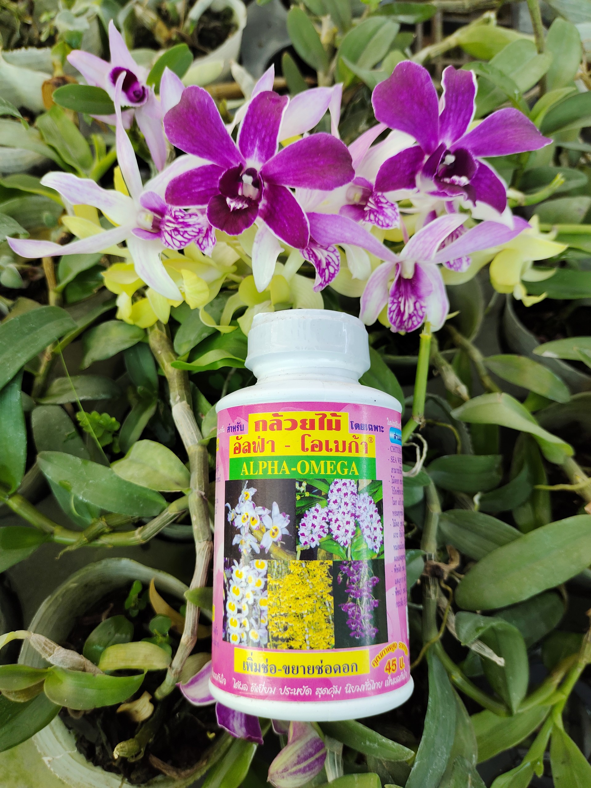 Dung dịch kích hoa thái lan - alpha omega 250ml