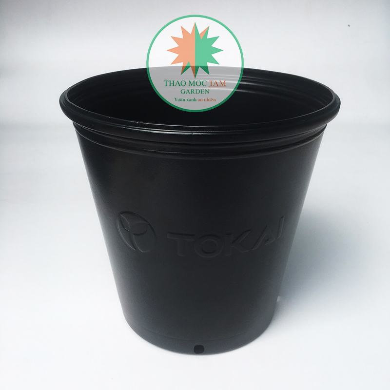 Set 10 cái chậu trồng cây 24x24cm tokai – chậu to trồng cây chất lượng nhật
