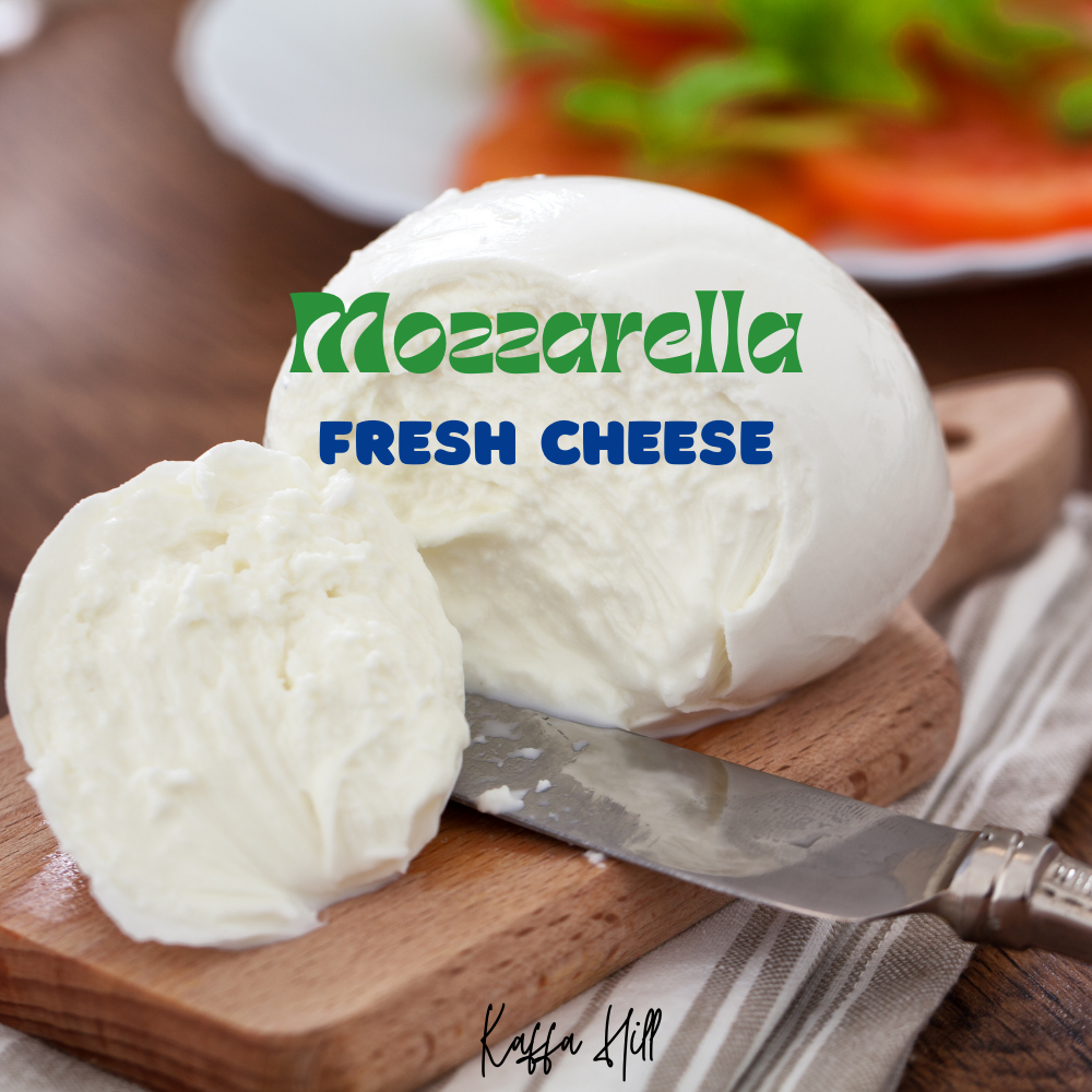 Fresh Mozzarella Cheese Phô mai tươi Mozzarella 250g Kaffa Hill