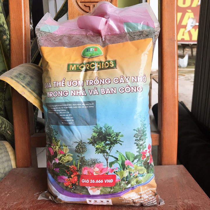Giá thể ươm trồng cây trong Nhà và Ban công