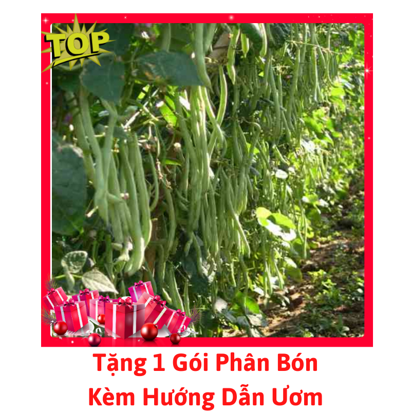 [Lấy mã giảm thêm 30%] Gói Hạt Giống Đậu Cove Leo 4 Mùa