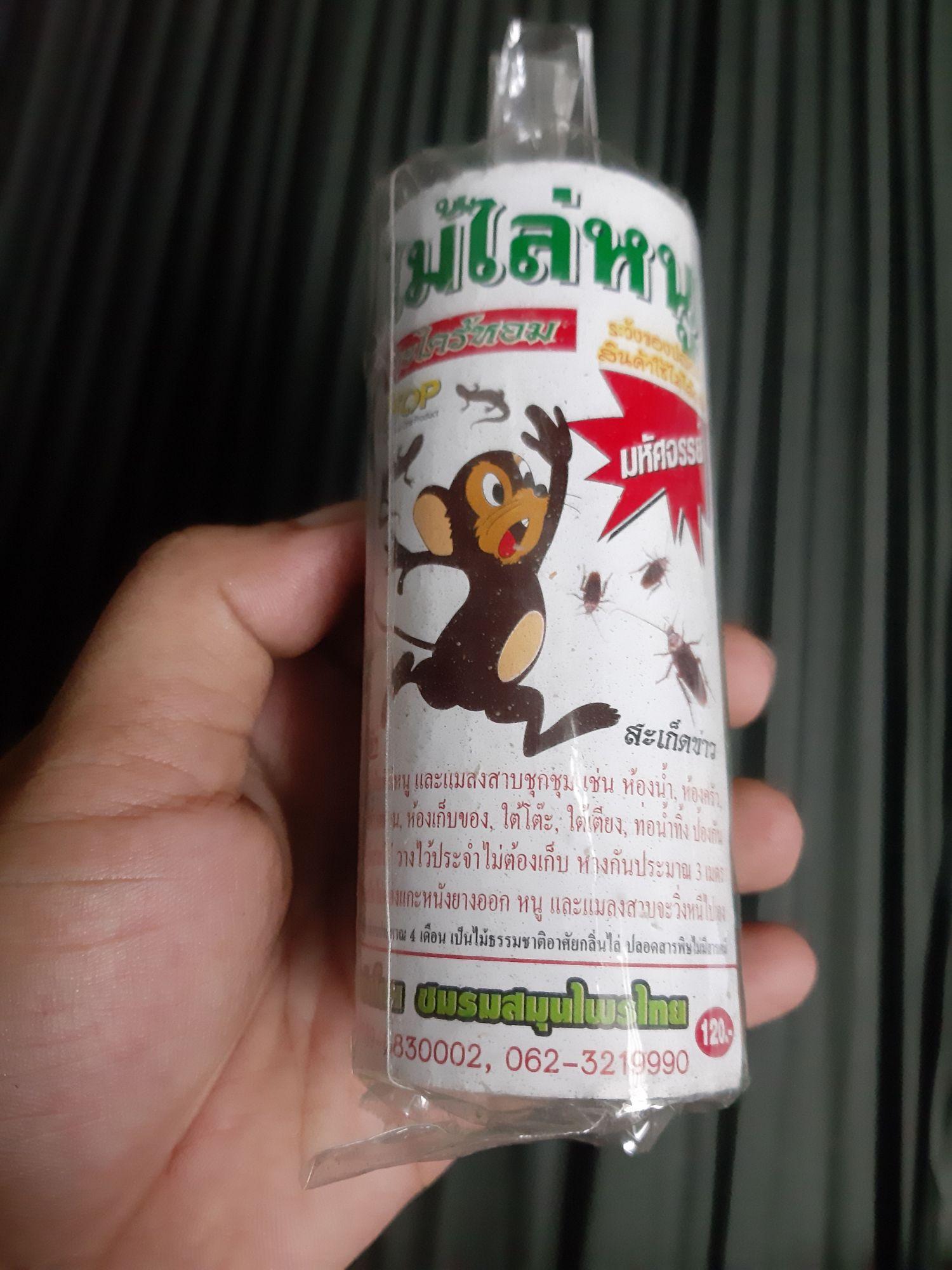 Lồng đuổi chuột, thằn lằn thạch sùng Thái Lan