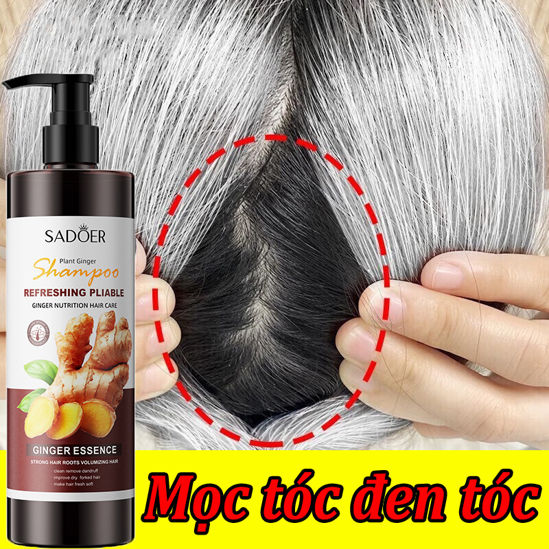 Dầu gội đen tóc gừng dầu gội chống rụng serum mọc tóc tinh chất gừng chiết xuất tự nhiên chăm sóc tóc đen tóc nhanh chóng 100% mọc tóc xóa gàu giảm ngứa chăm sóc tóc tự nhiên