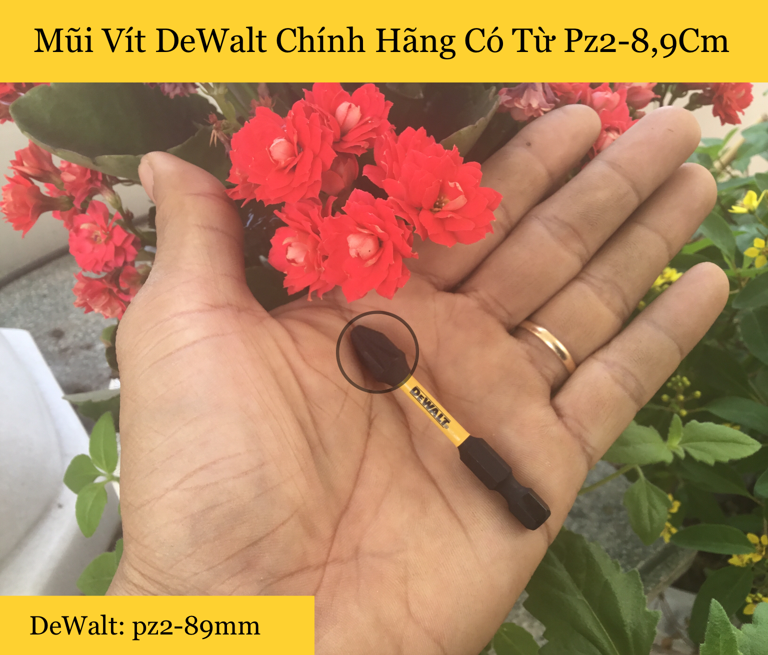 Mũi vít dewalt chính hãng pz2-58mm