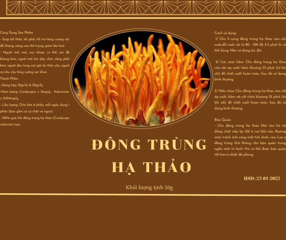 Đông trùng hạ thảo sấy khô 100g - thần dược tự nhiên cho sức khỏe