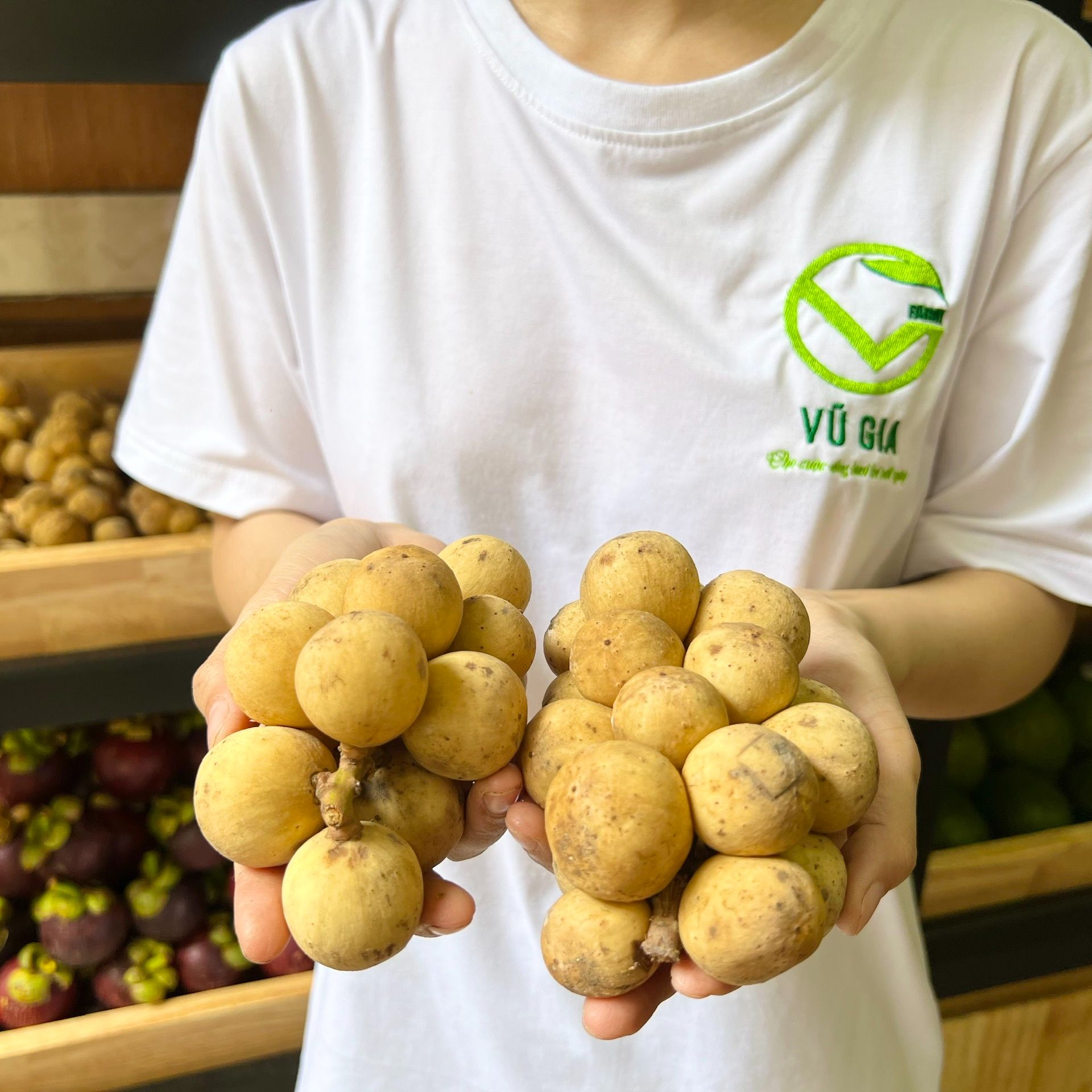 [ BÒN BON LOẠI VIP MỚI VỀ CHÙM QUẢ TO] VG FARM Bòn Bon Thái - quả to, vỏ mỏng căng mọng