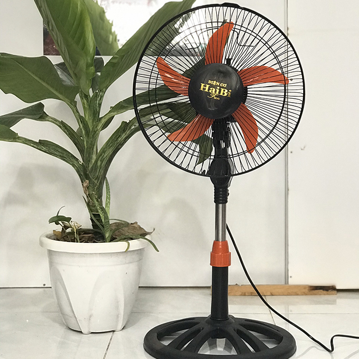 Quạt cây 5 cánh - Quạt điện - quạt bàn - Quạt đứng lỡ