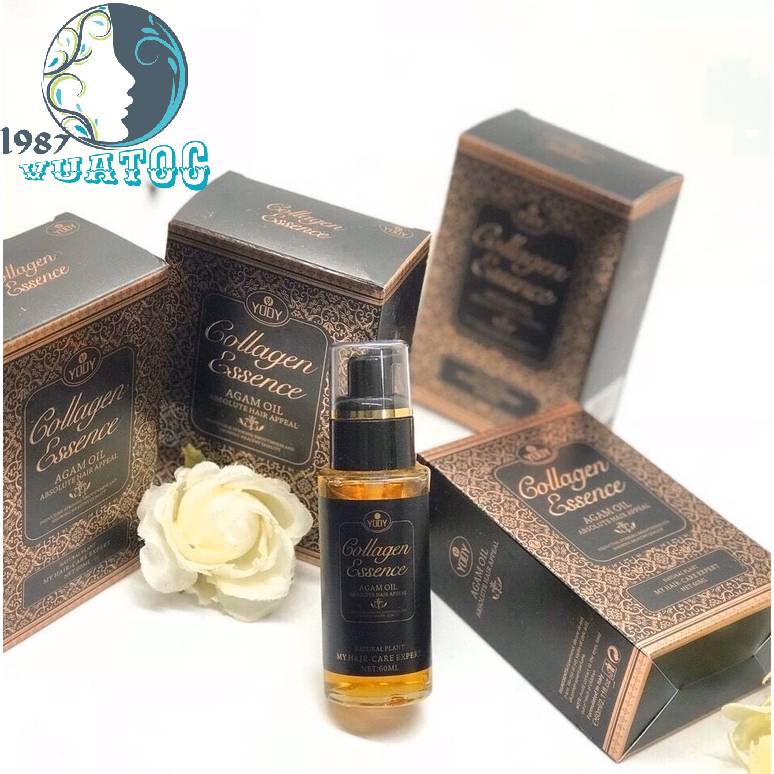 Tinh dầu dưỡng tóc YODY Collagen ESSENCE Tinh dầu dưỡng tóc mềm mượt Tinh dầu chống rụng phục hồi tóc