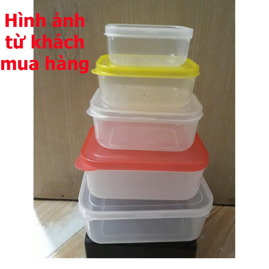 Combo 10 hộp nhựa đựng thực phẩm có nắp đậy trữ đông an toàn màu