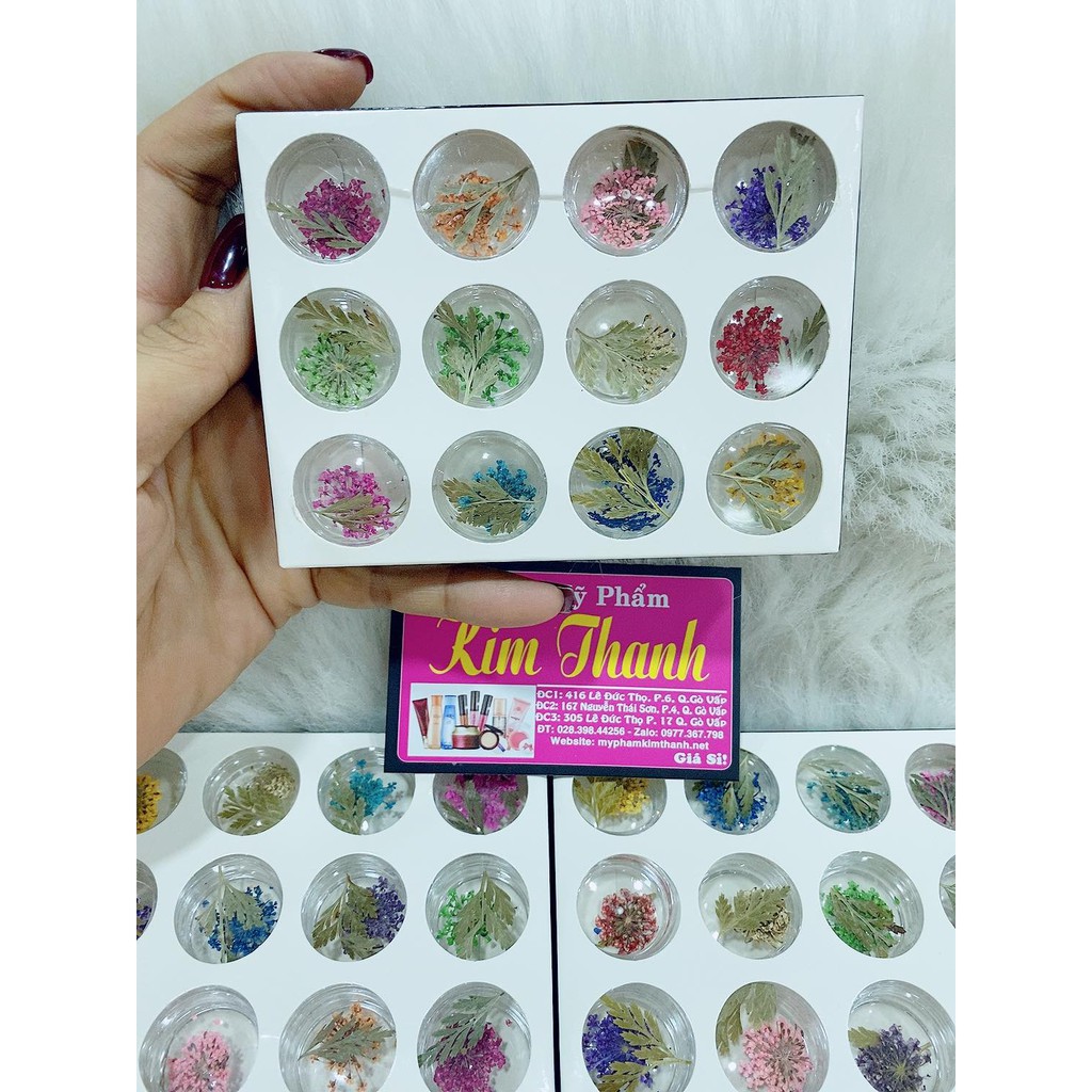 Set hoa lá khô chùm trang trí nail 12 ô, sản phẩm chất lượng, đảm bảo an toàn sức khỏe người dùng, cam kết cung cấp mặt hàng đang được săn đón trên thị trường