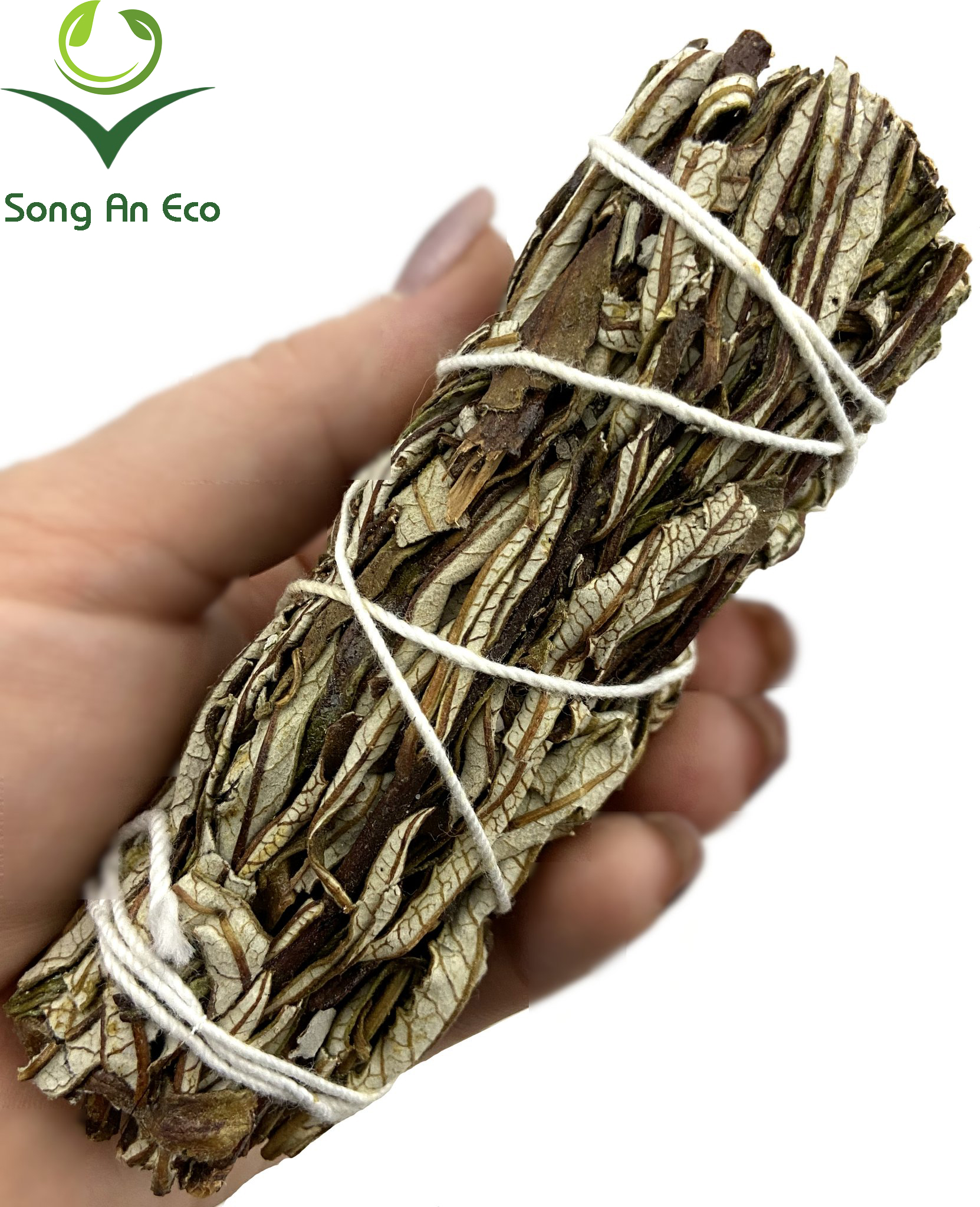 Bó lá Thánh - Thánh Thảo Dược - Yerba Santa Smugde stick
