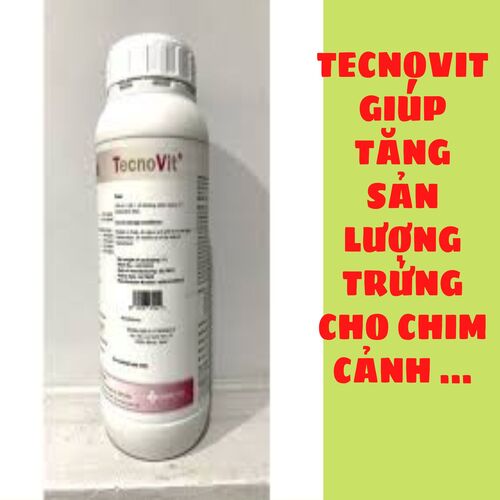 Tecnovit là hổn hợp vitamin tăng cường sản lượng trứng cho chim sinh sản. Chai 10ml