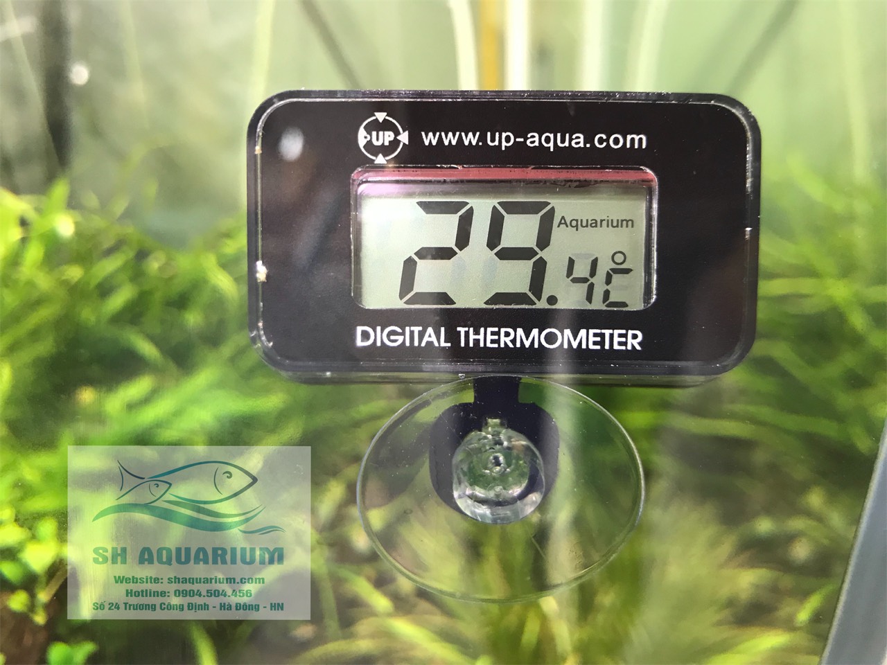 [HOÀN TIỀN 10%]Nhiệt kế Up Aqua 930