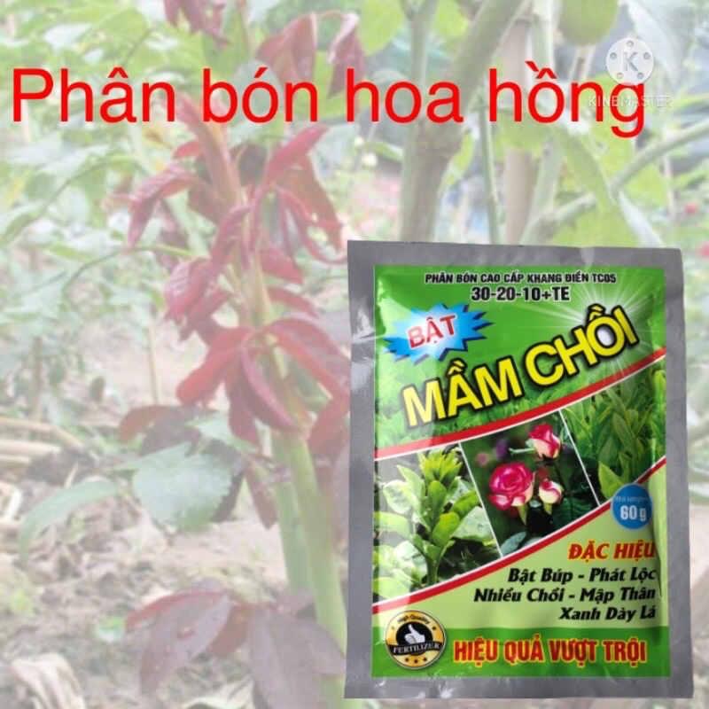 Phân Bón Lá - Siêu bật Mầm Chồi cho hoa cây cảnh
