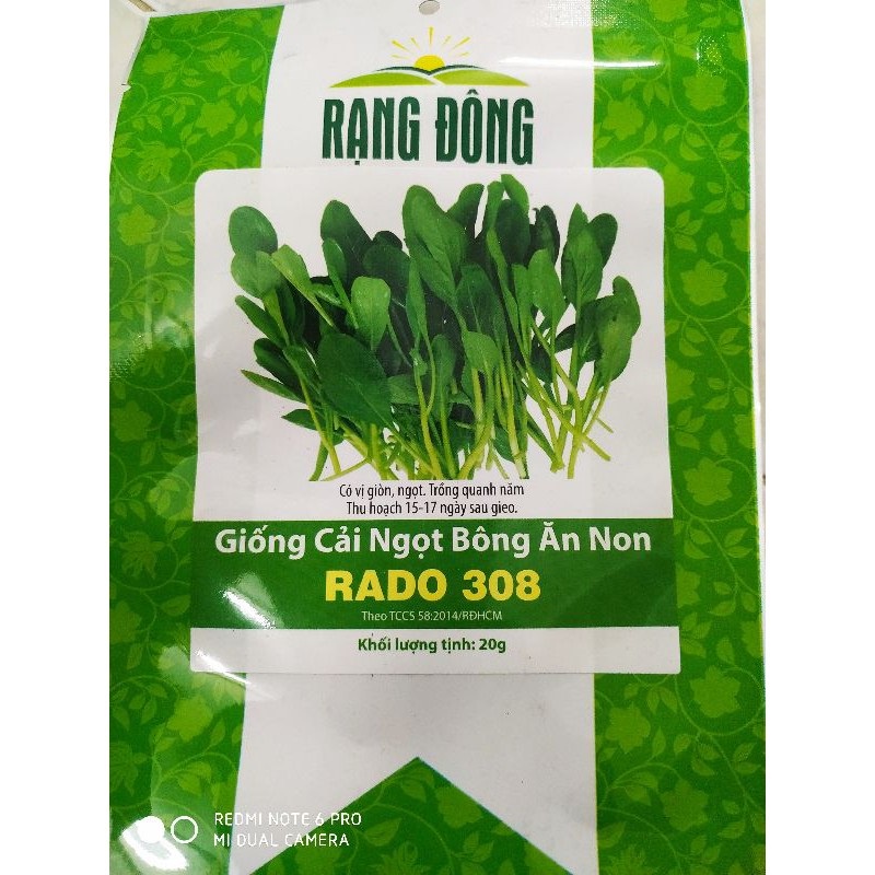 Hạt giống cải ngọt bông ăn non rado 308 gói 20gram