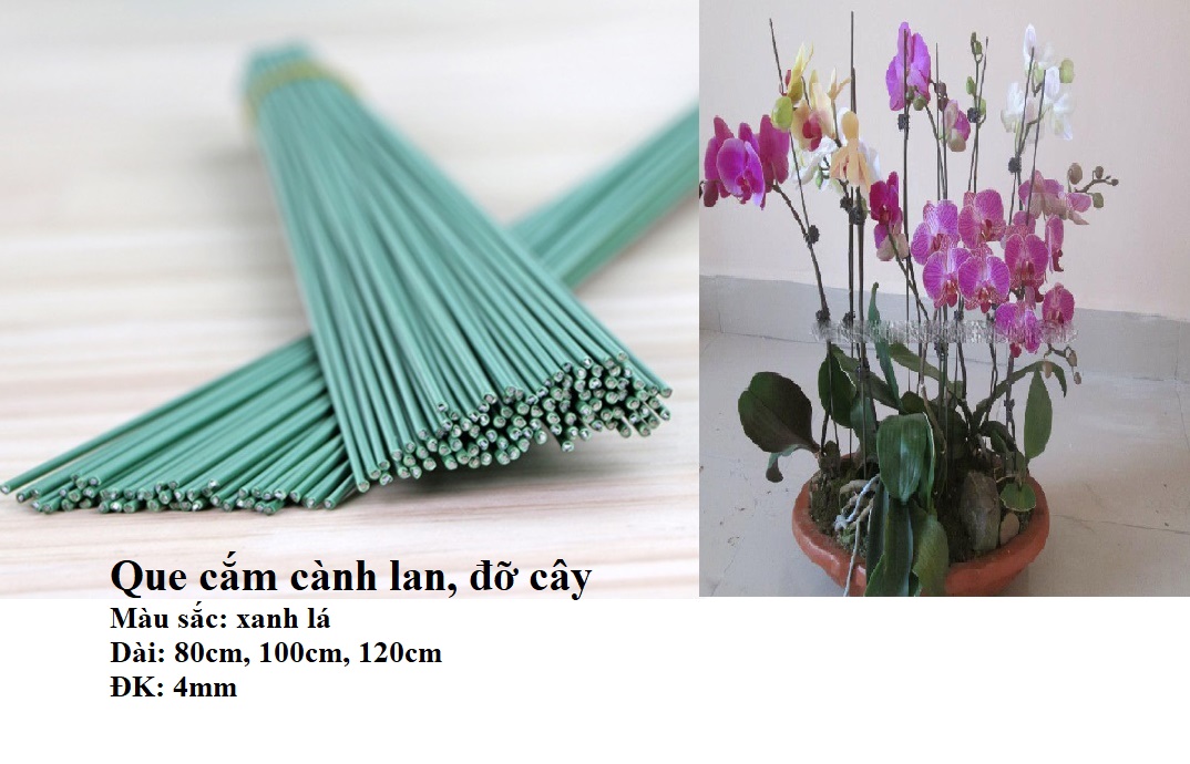 Set 5 chiếc Cây kẽm bọc nhựa uốn cành lan, que cắm cành lan hồ điệp que uốn cành lan 100cm