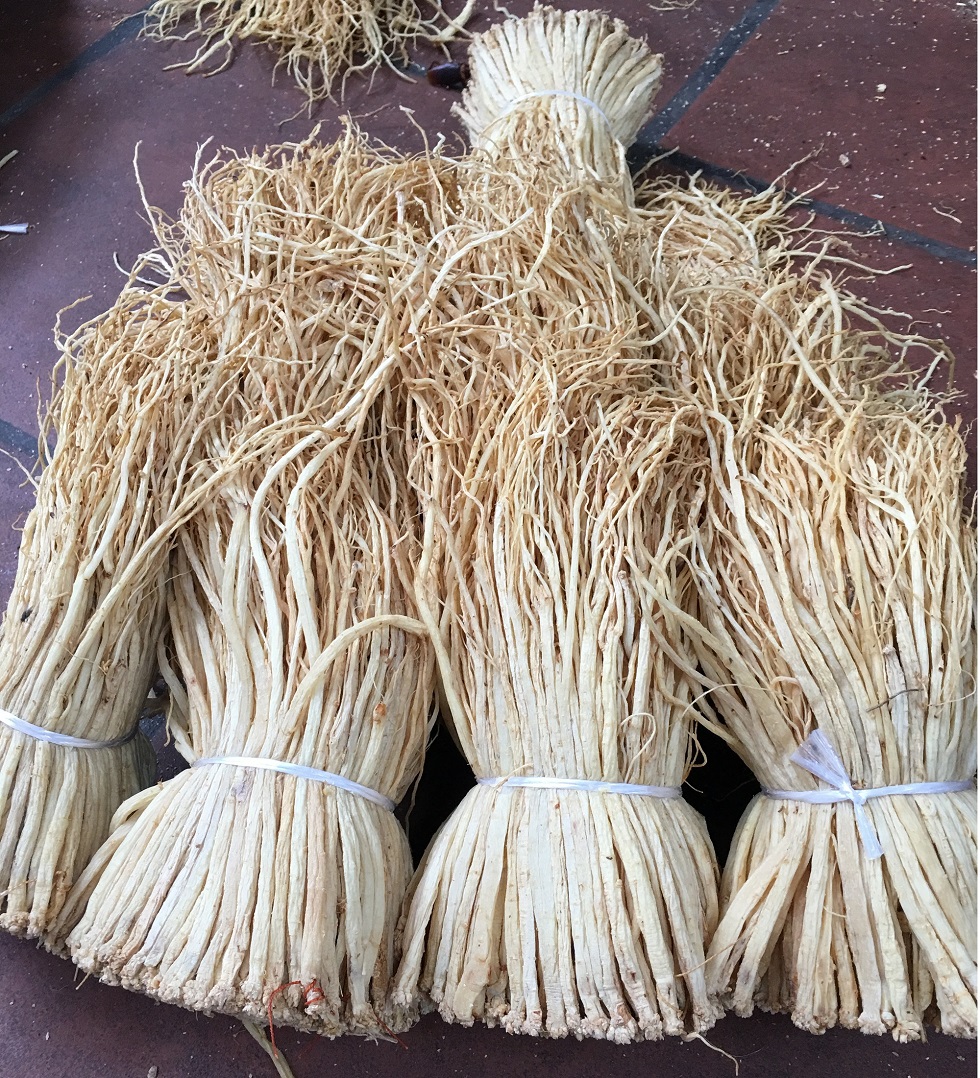 500gam - đẳng sâm tây bắc- sấy khô - có tặng quà