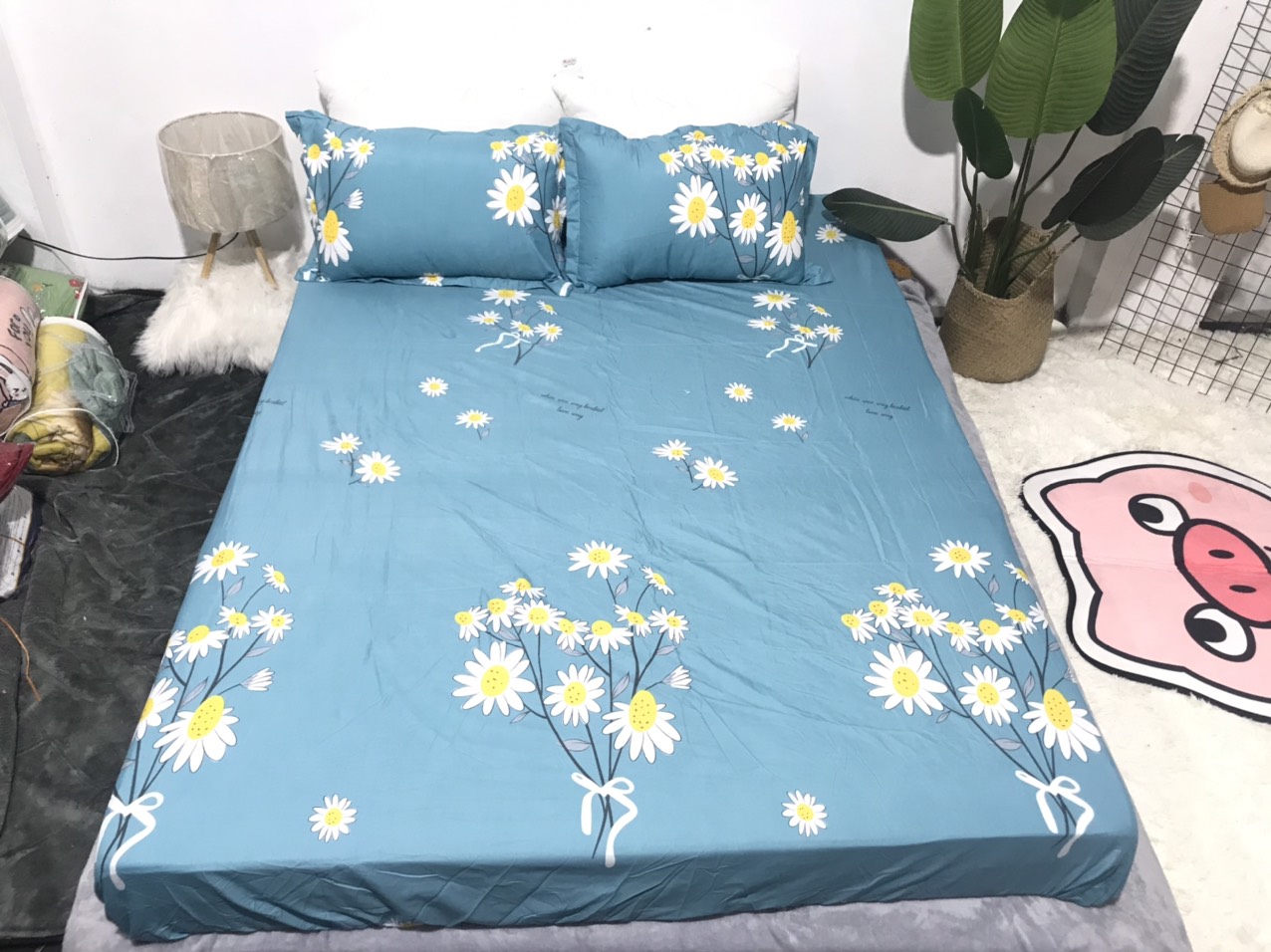 Set Ga Gối 3 Món (Gồm 1 Ga bo chun + 2 Vỏ Gối Nằm) Mẫu Hoa Cúc Xanh CH205