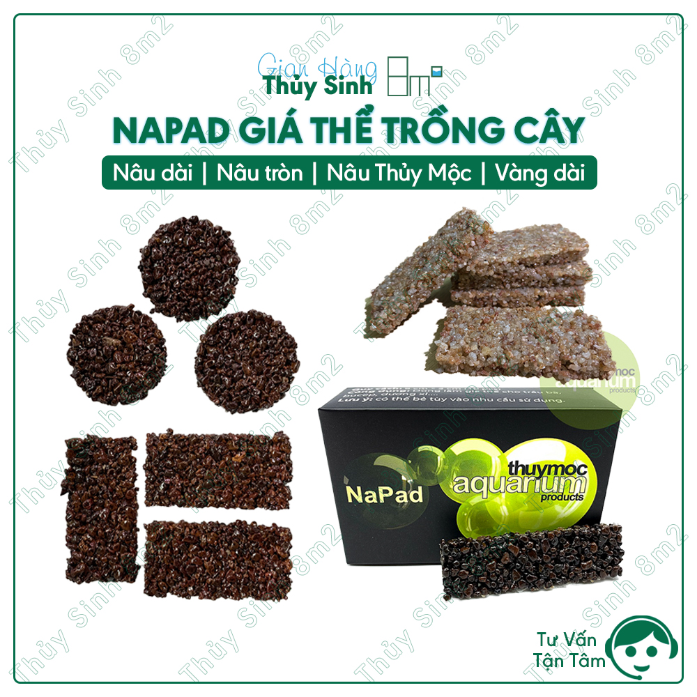 Napad Thủy Sinh, Giá Thể Cho Rêu, Cây Thủy Sinh - 8m2