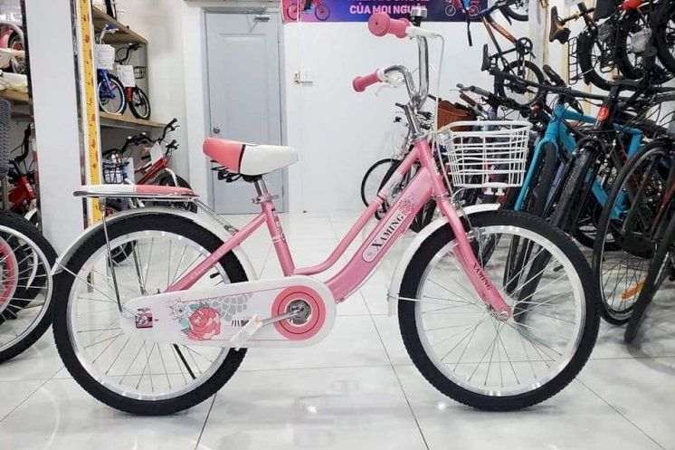 Xe đạp trẻ em 20 inch xaming nữ