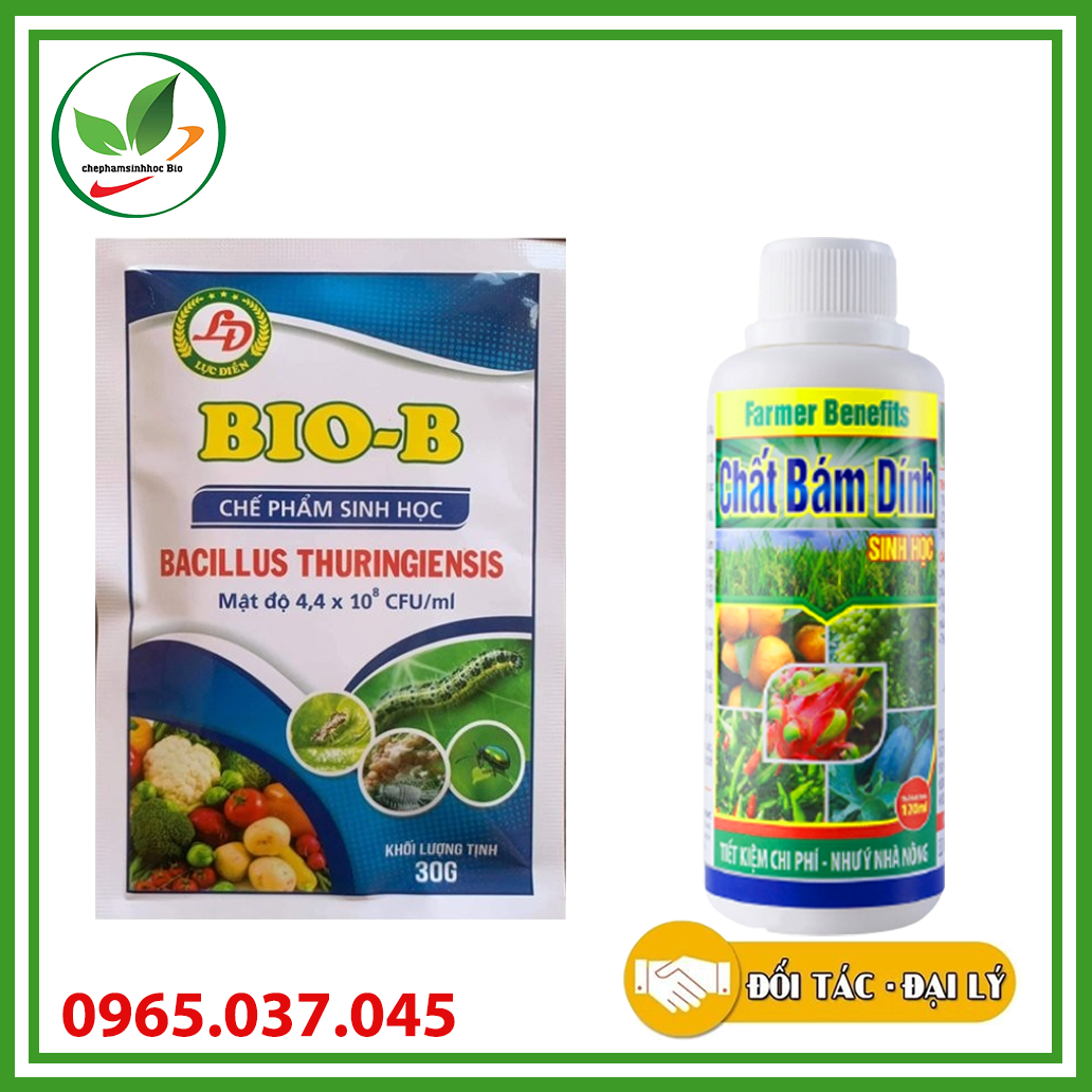 Combo chế phẩm sinh học Bio B 30gram và chất bám dính 120ml. Tiêu diệt côn trùng, ầy bọ trĩ, bọ cánh cứng, nhện đỏ