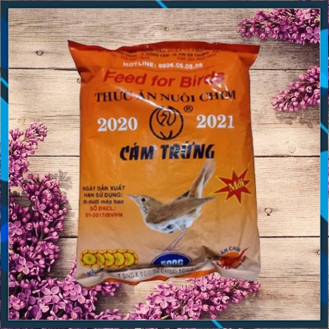 Cám trứng Ba Vì thức ăn chim cảnh - Mồi câu cá