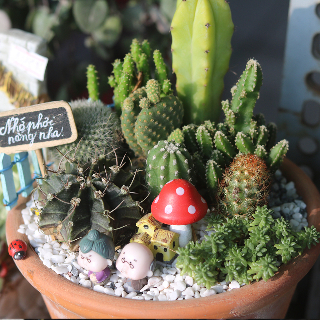 Mô hình ông bà mini | Phụ kiện Tiểu cảnh sen đá - Phụ kiện Terrarium