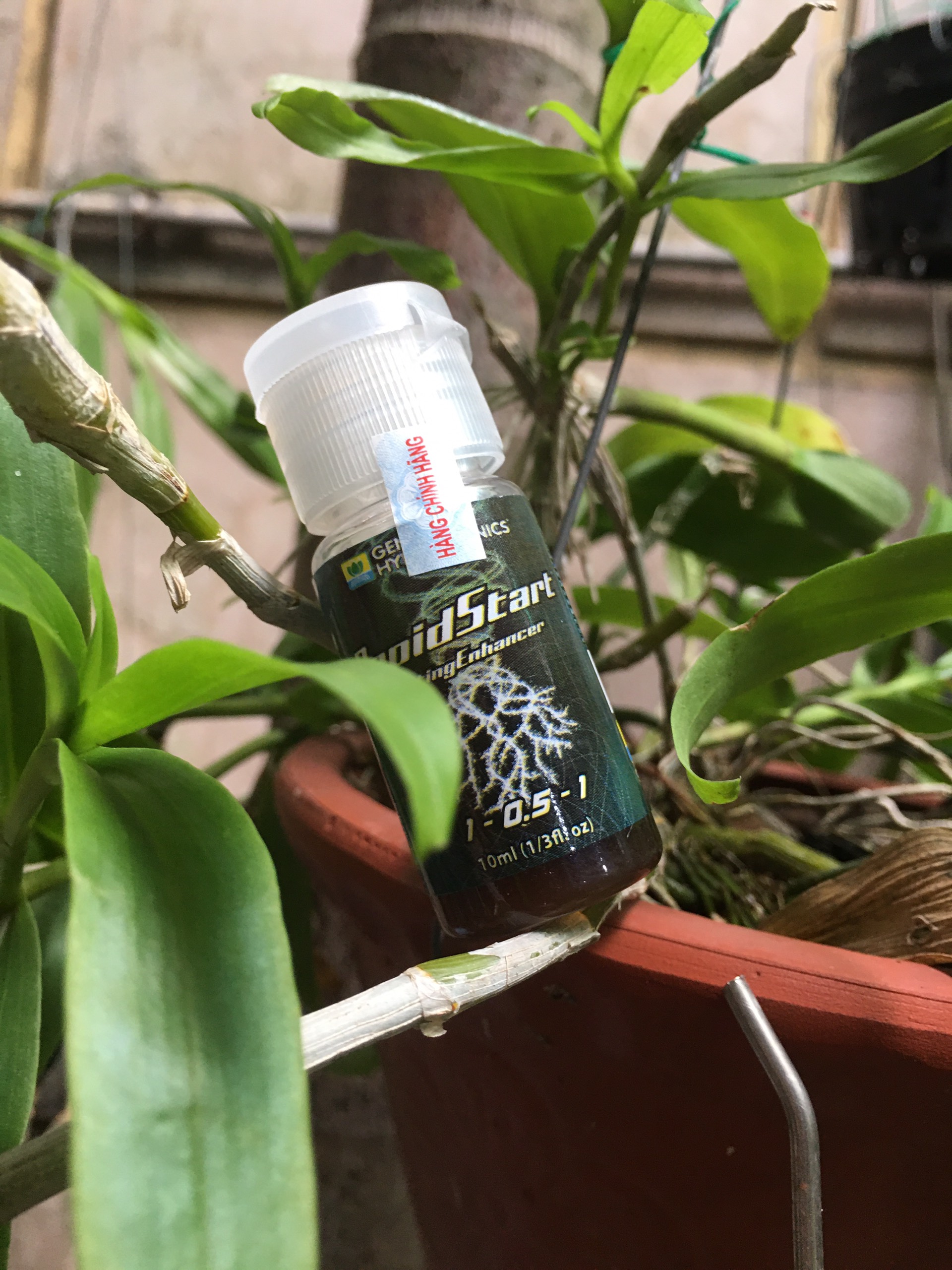 Phân bón siêu kích rễ General Hydroponics Rapid Start lọ 30ml nhập khẩu Mỹ
