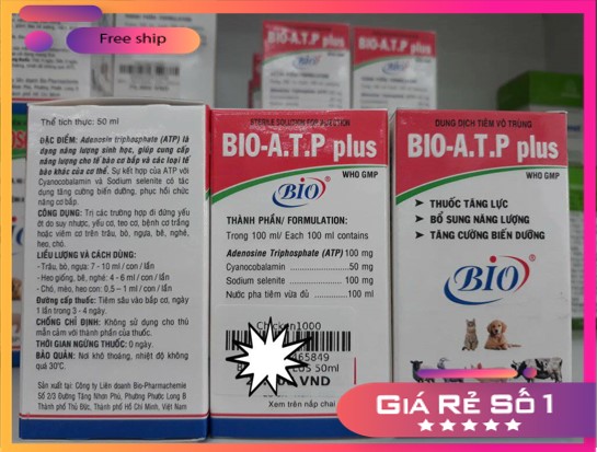Bio Atp Plus 50ml tăng lực, chống teo cơ trên heo, dê, chó, mèo